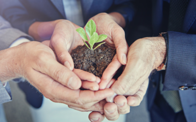 Comment les valeurs de l’entreprise peuvent-elles guider la transformation ?